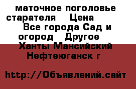 маточное поголовье старателя  › Цена ­ 3 700 - Все города Сад и огород » Другое   . Ханты-Мансийский,Нефтеюганск г.